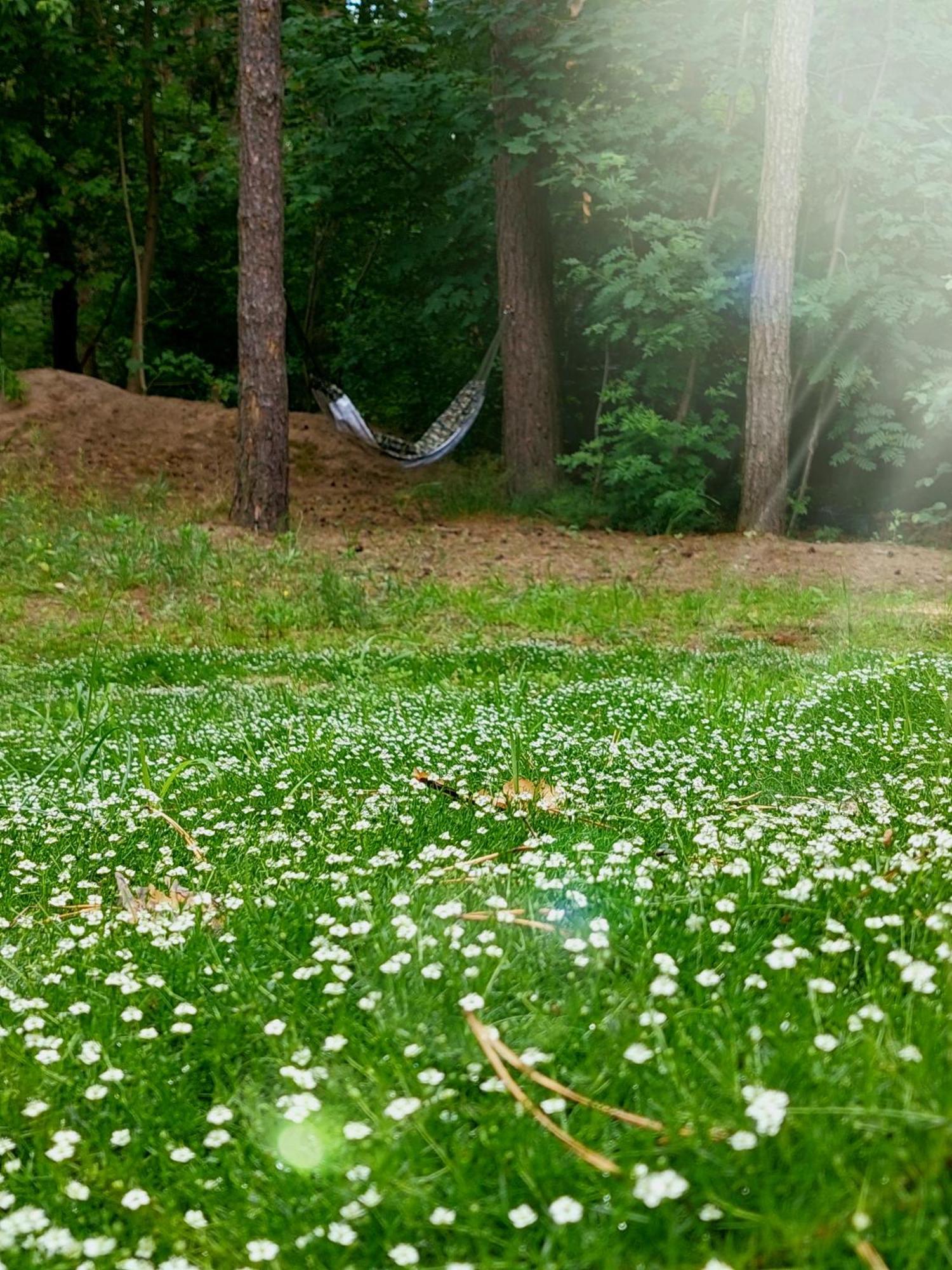 Forrest Style Pokoje Goscinne Varsóvia Exterior foto